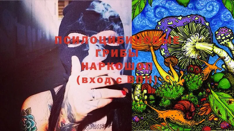 цены наркотик  Дмитровск  Псилоцибиновые грибы Magic Shrooms 